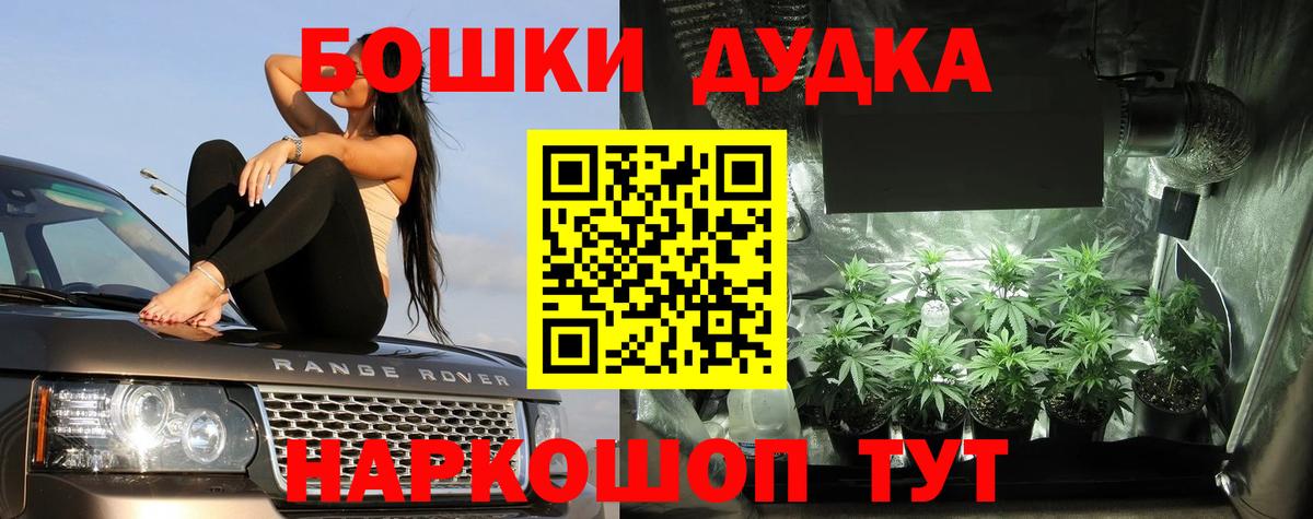Бошки марихуана OG Kush Батайск